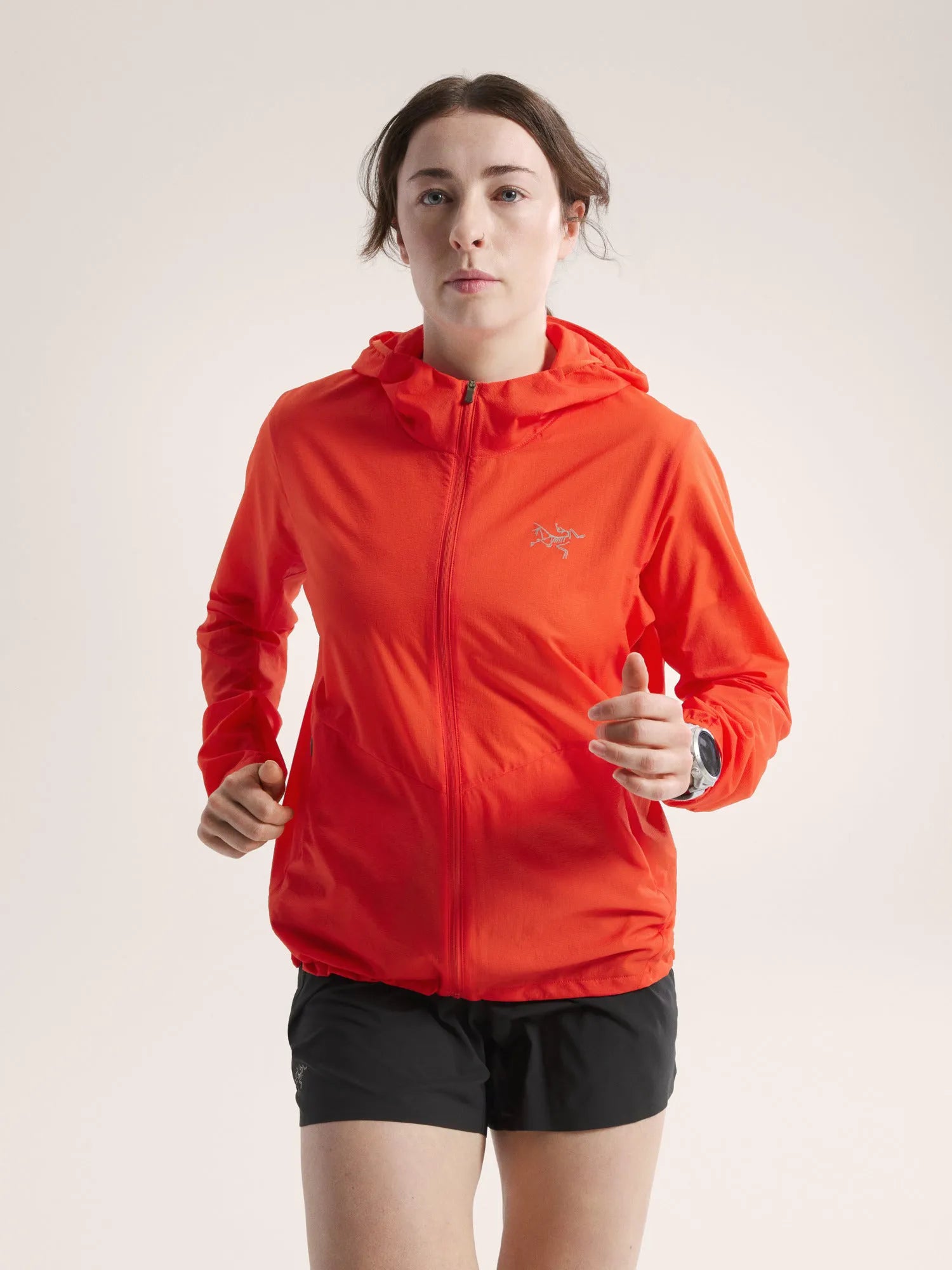 Dynasty