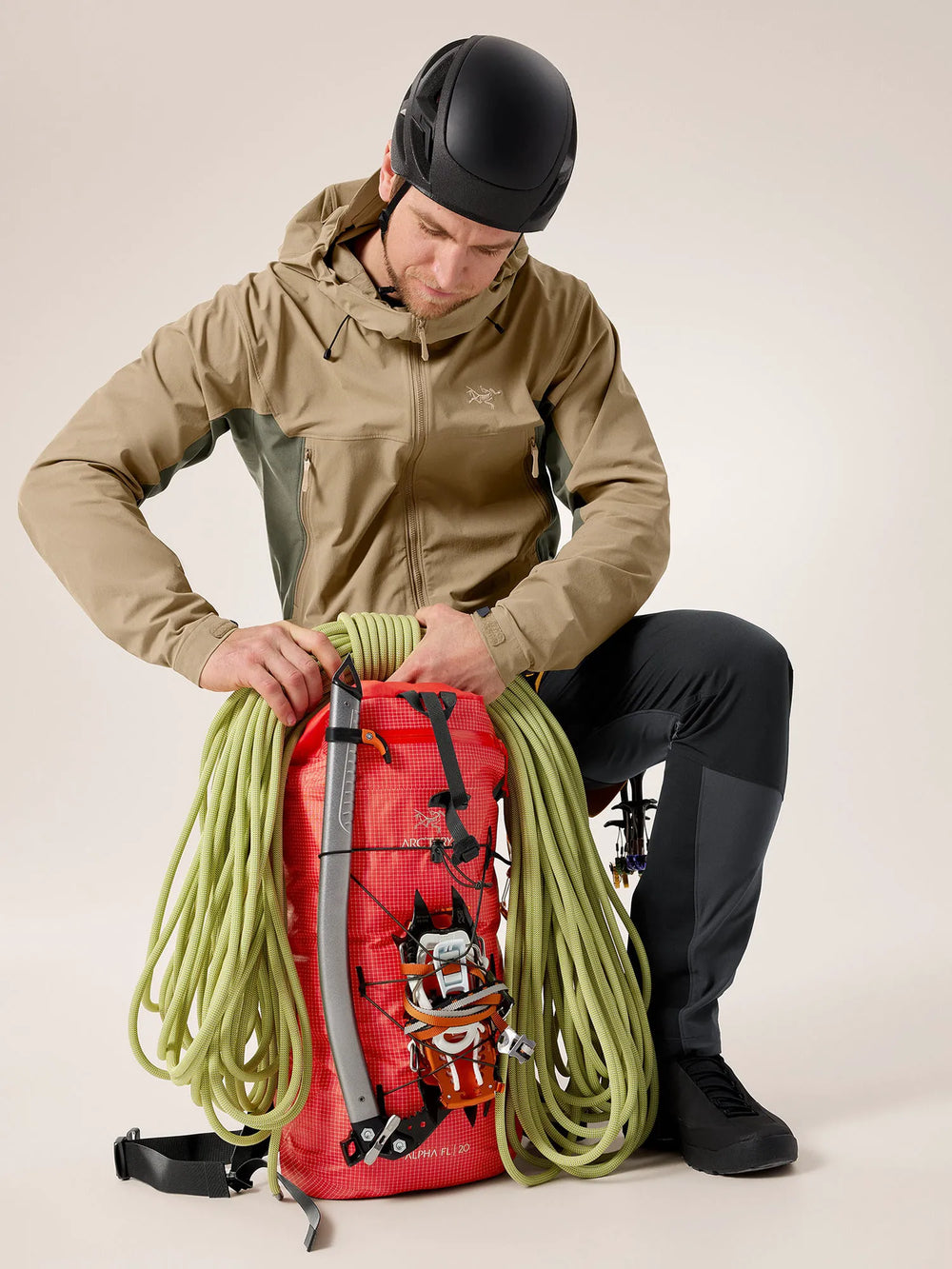 Dynasty