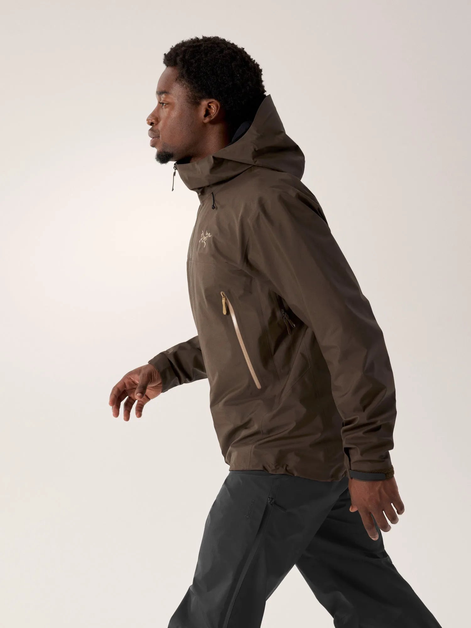 Carob / Canvas
